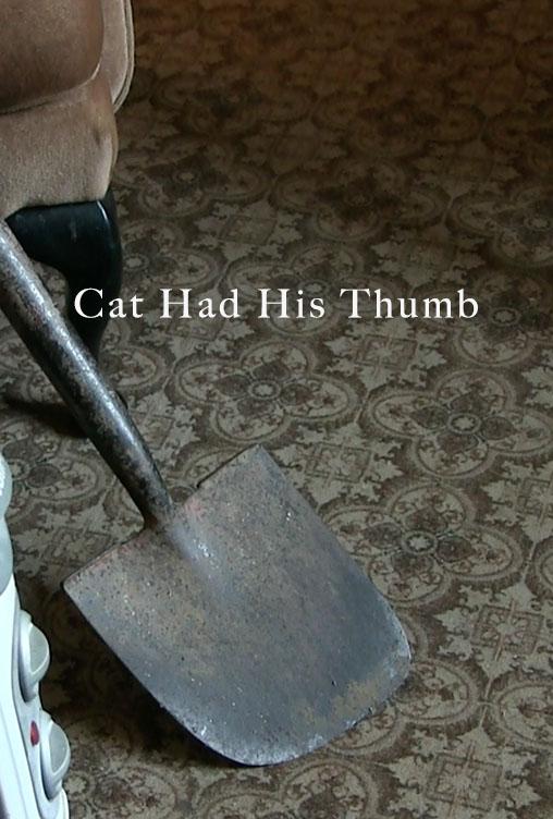 Cat Had His Thumb