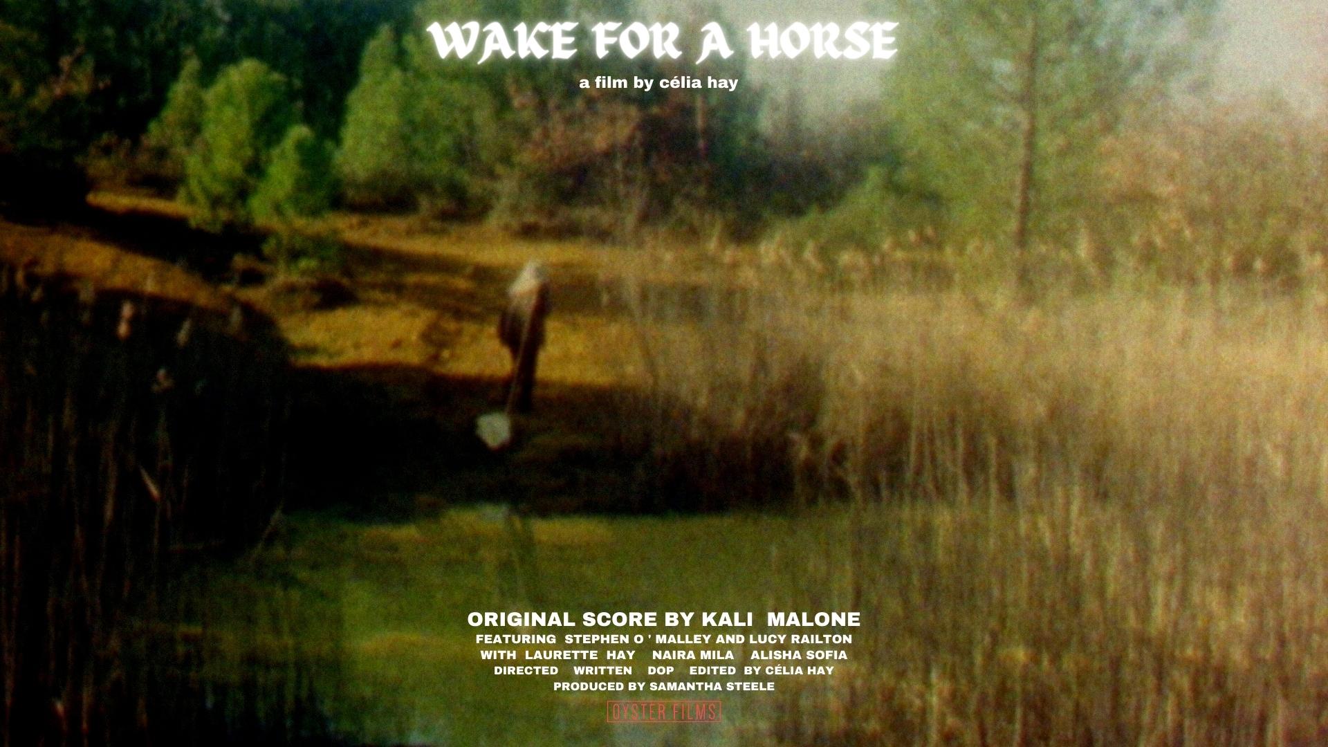 Wake for a Horse