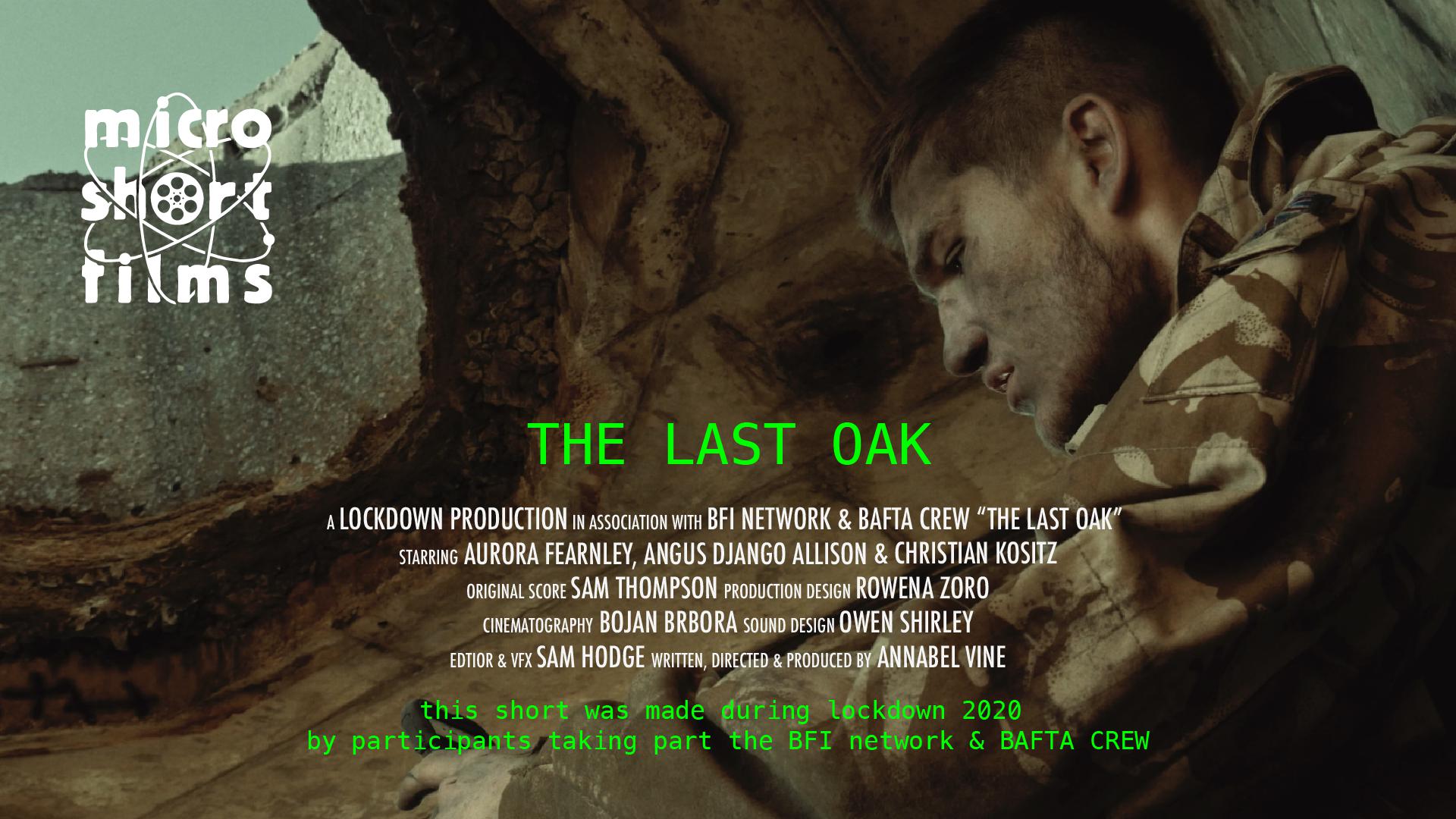 The Last Oak