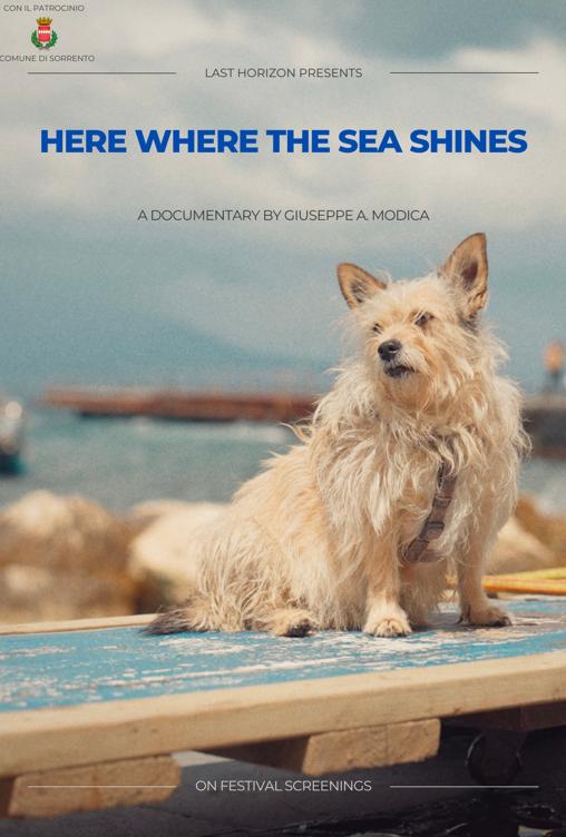Here Where The Sea Shines Here Where The Sea Shines