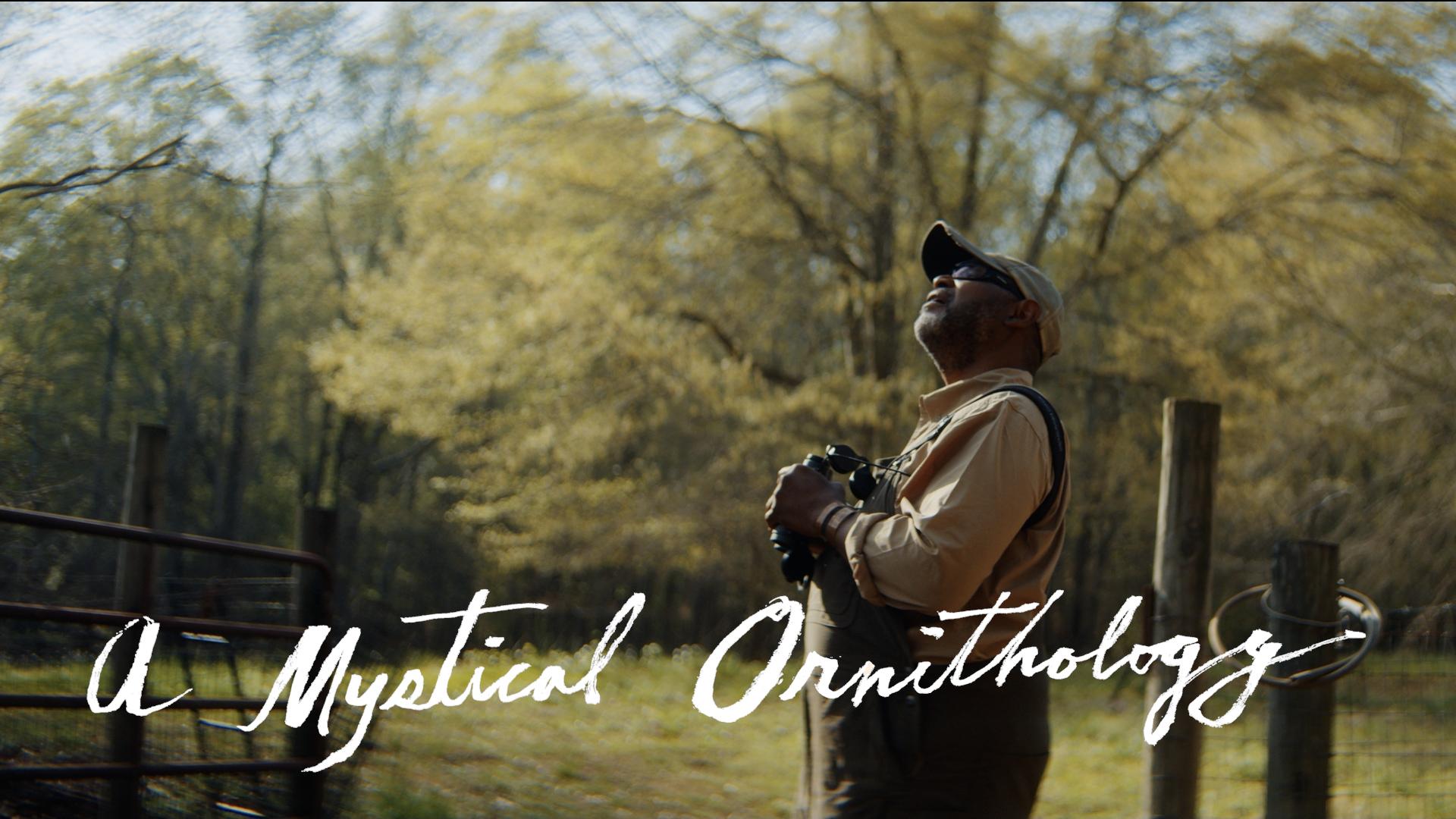 A Mystical Ornithology