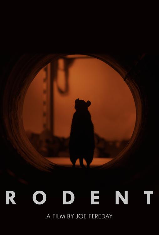 Rodent Rodent