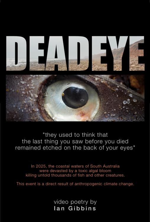 DEADEYE