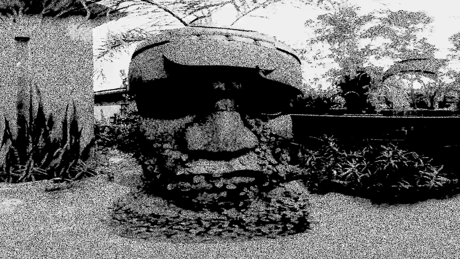 Trosglwyddiadau Meridian