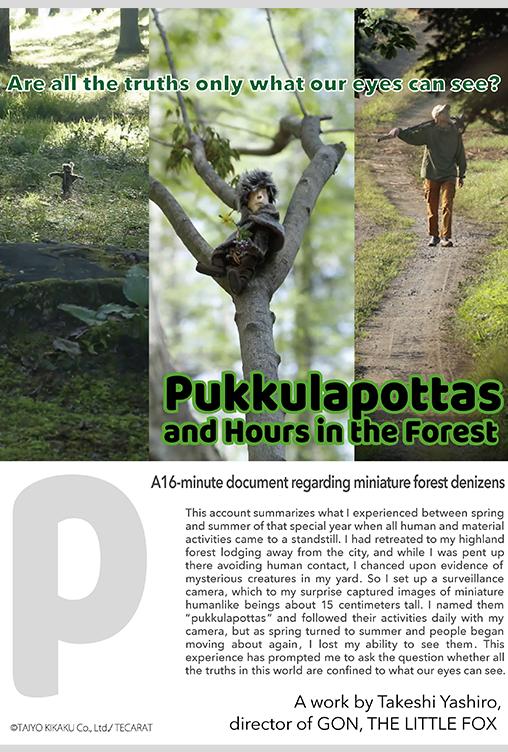 Pukkulapottas and Hours in the Forest