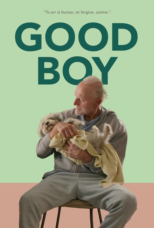 Good Boy Good Boy