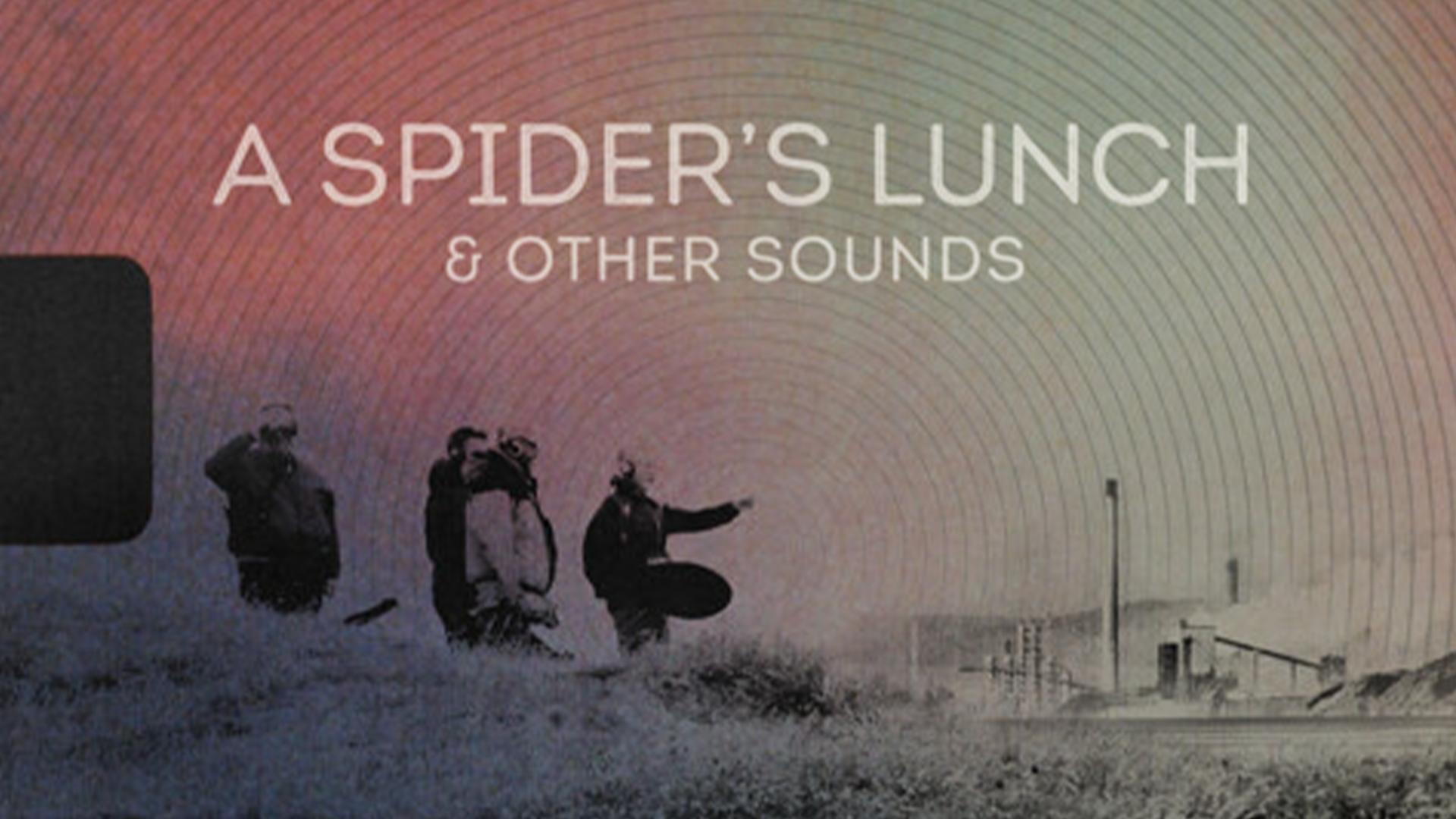 A Spider's Lunch & Other Sounds