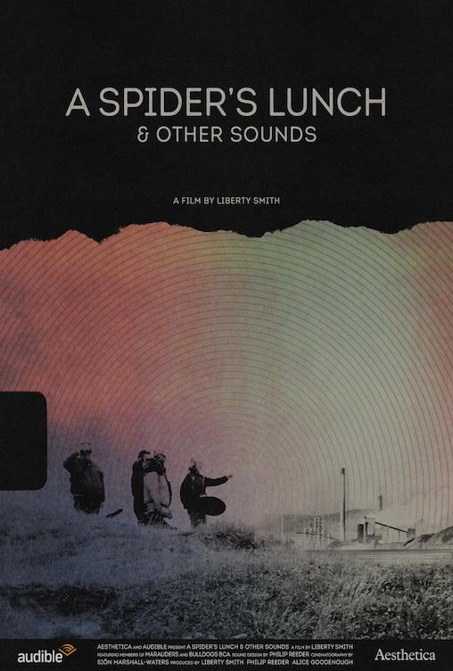 A Spider's Lunch & Other Sounds