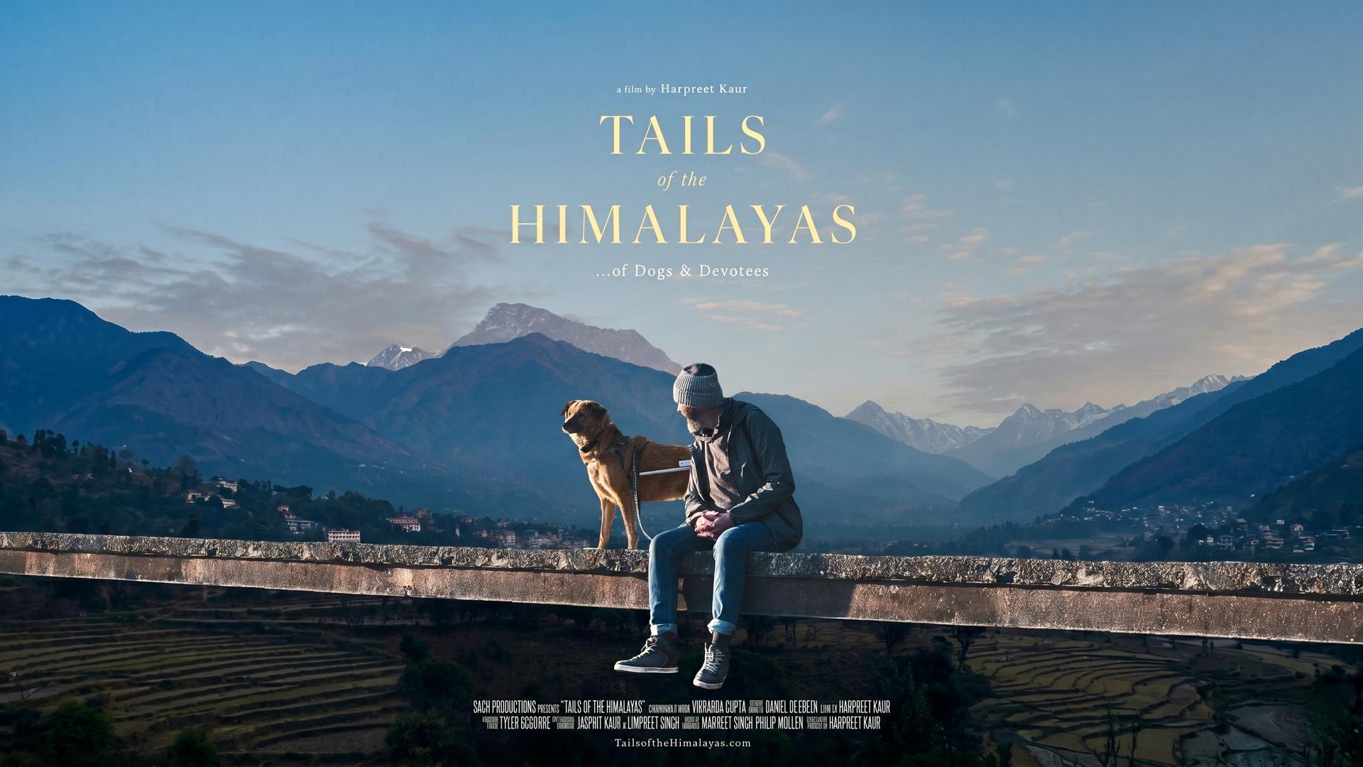 Cynffonau'r Himalayas...Cŵn a Dilynwyr