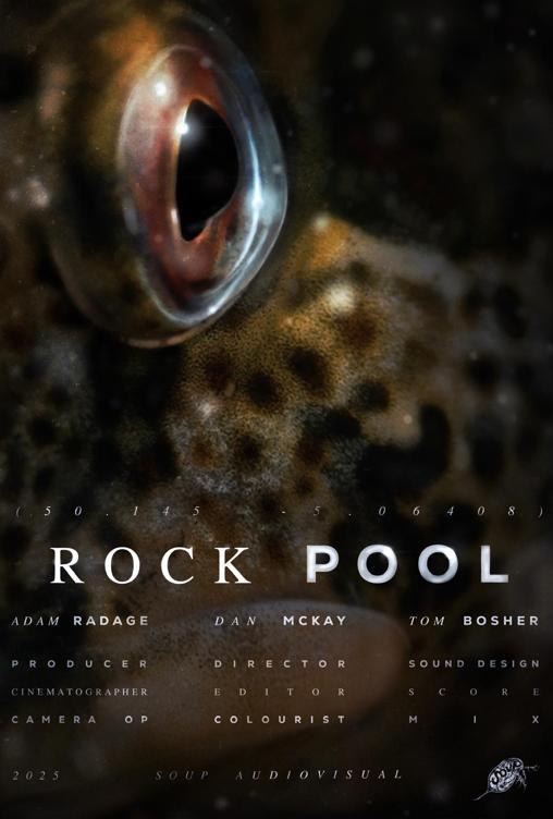Rock Pool