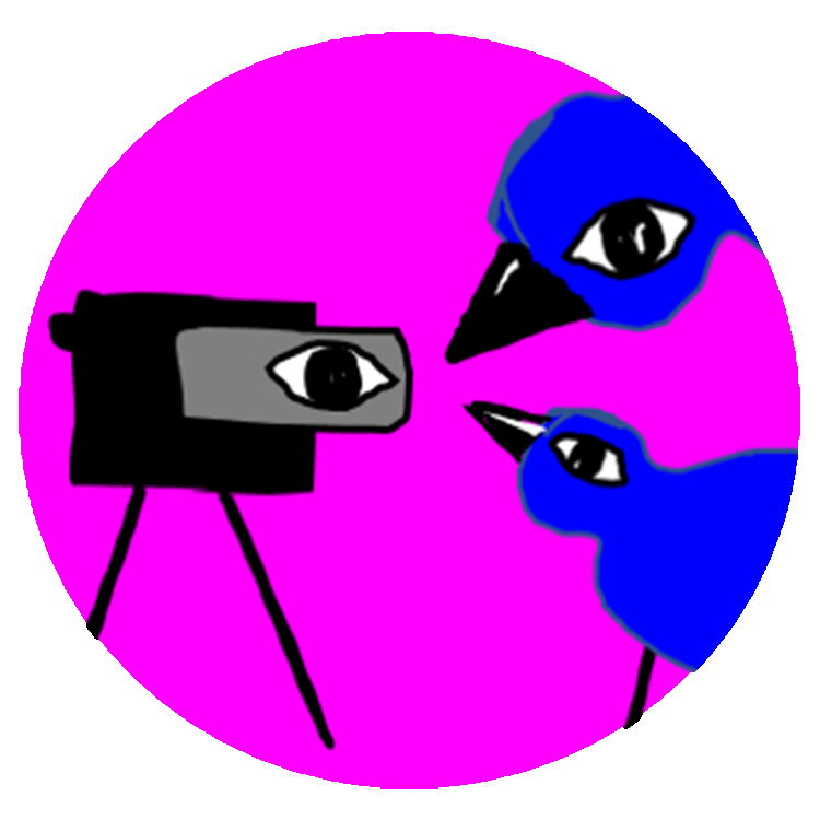 Do Astronauts Eat Green Vegetables in Space? 