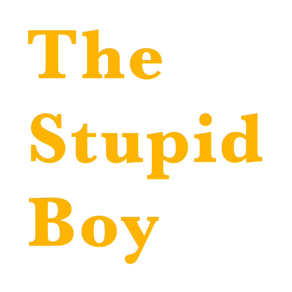 The Stupid Boy