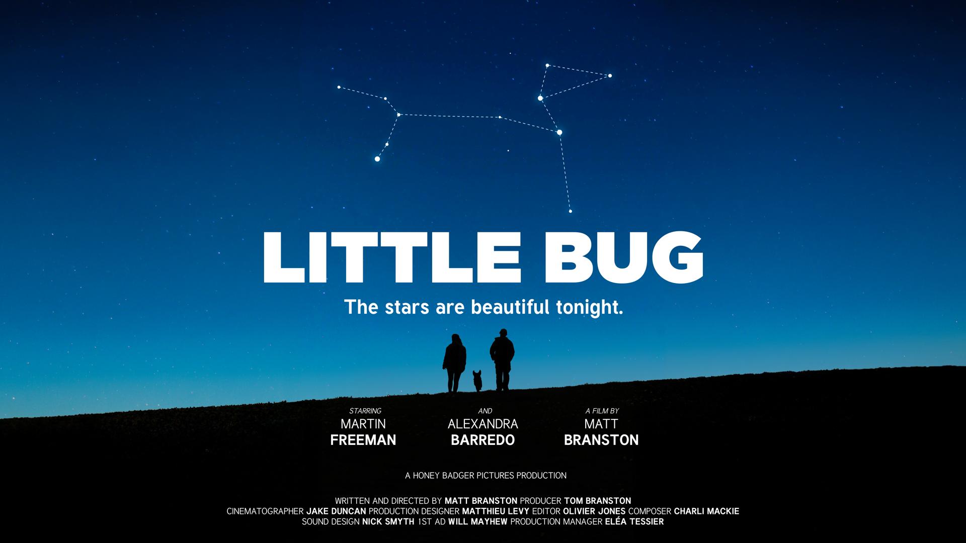 Little Bug