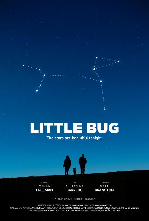 Little Bug
