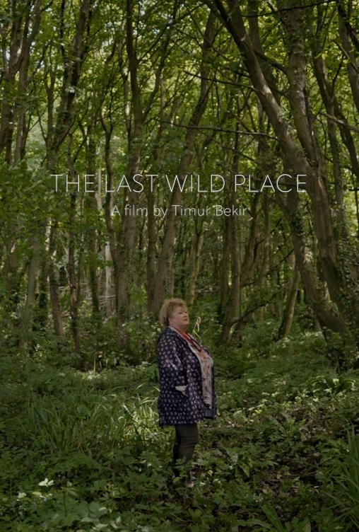 The Last Wild Place