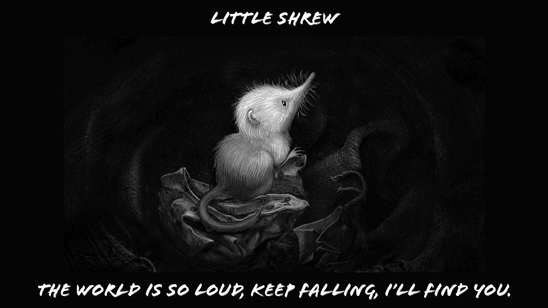 Little Shrew