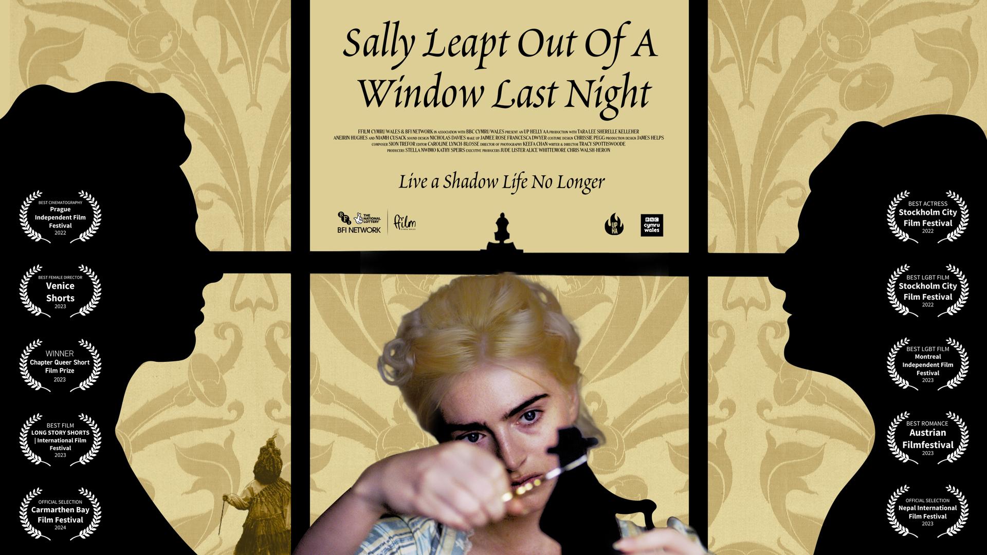 Sally Leapt Out Of A Window Last Night