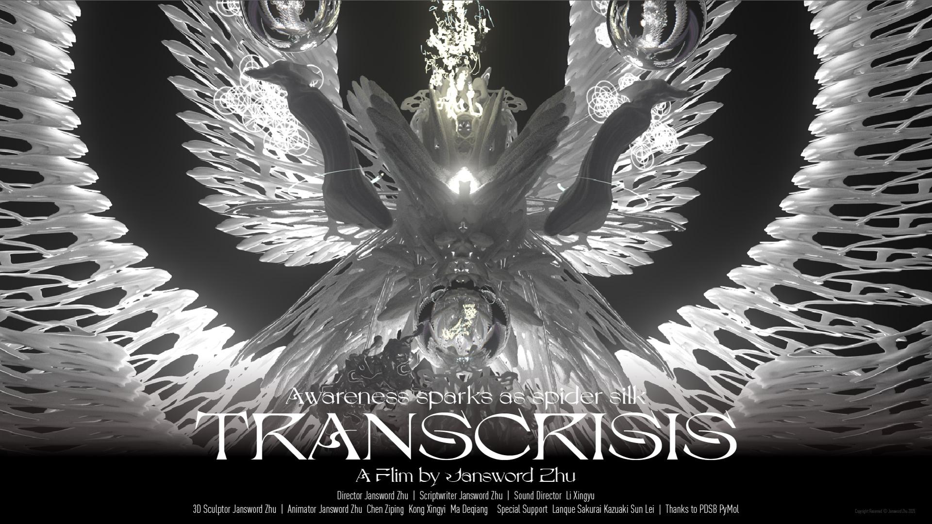 Traws-argyfwng: Ymwybyddiaeth yn gwreichioni fel sidan pry cop