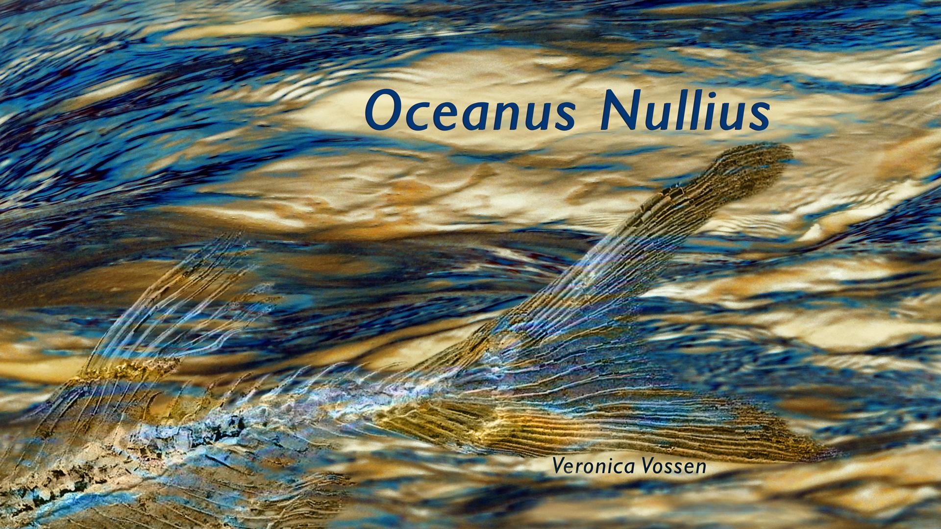 Oceanus Nullius Sola
